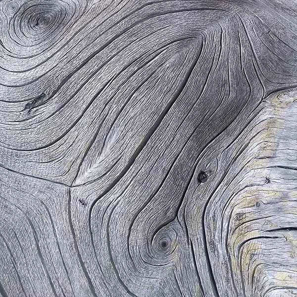 Holz