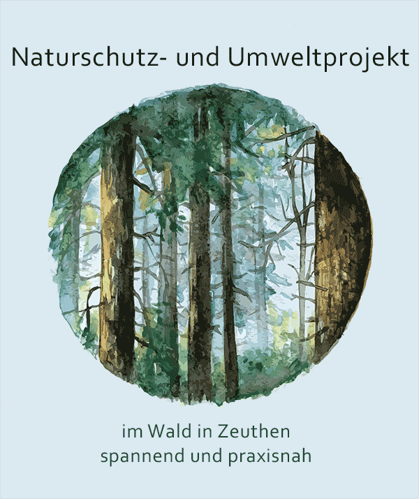 Naturschutz Wald