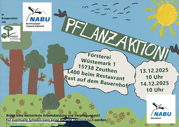 Poster Pflanzaktion Wald Dezember 2025